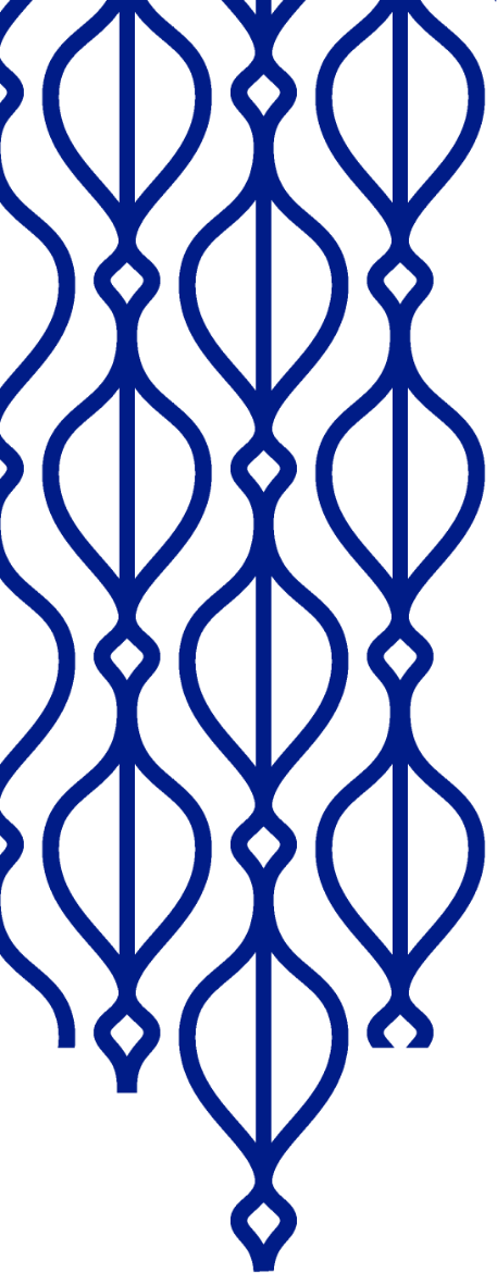 Kaouthar Darmoni blue pattern vagina
